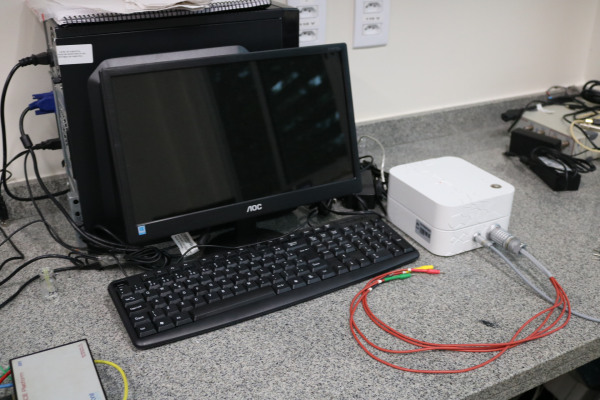 Sistema de eletroforese em microchips integrados com detecção amperométrica